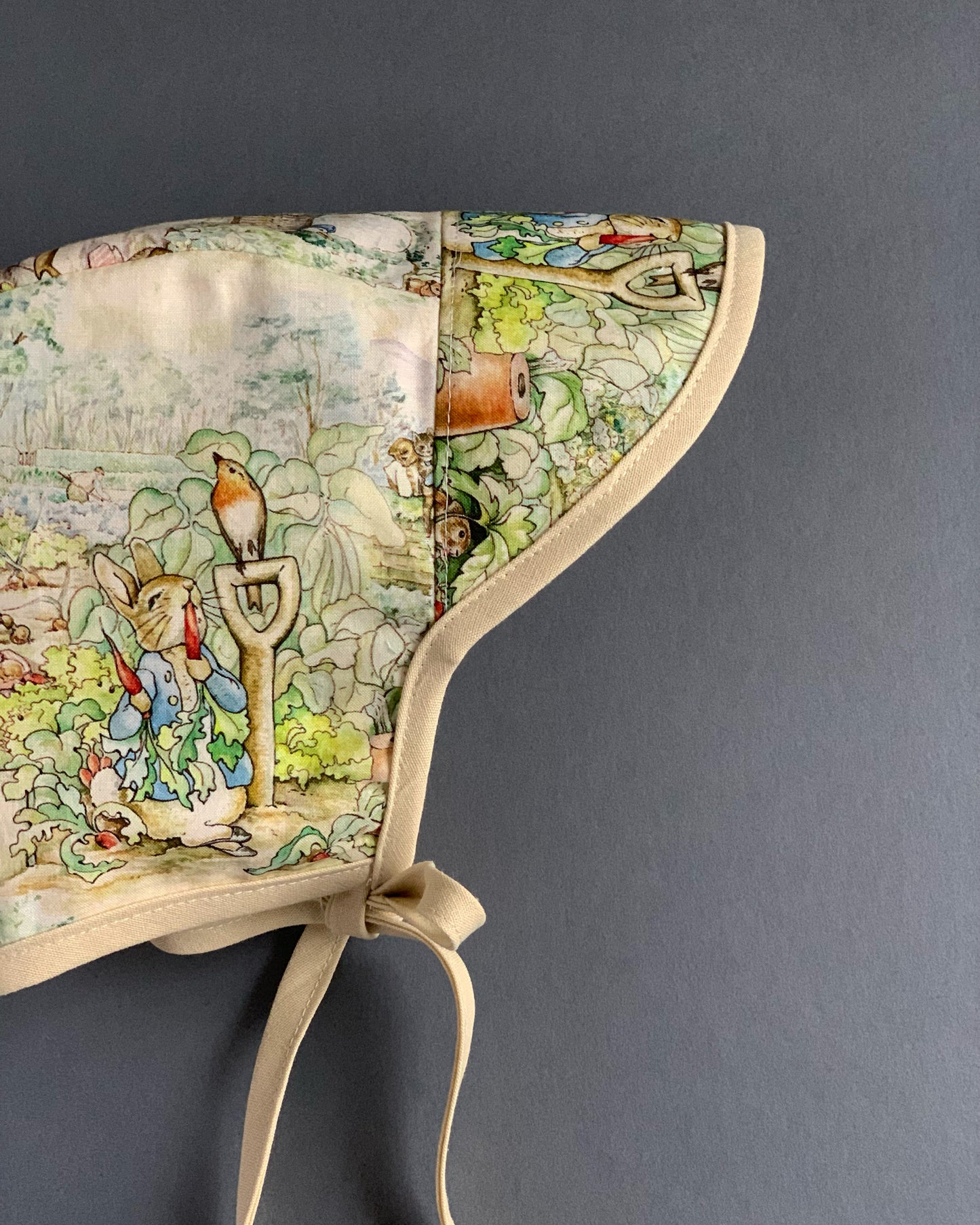 Painted Peter Rabbit Bonnet