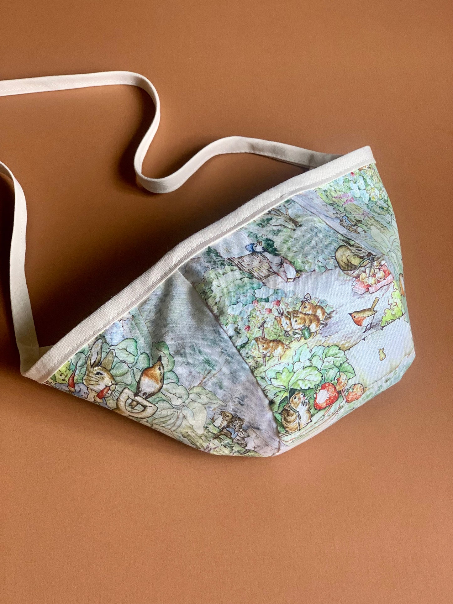 Painted Peter Rabbit Bonnet